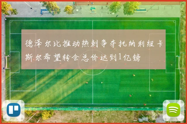 德泽尔比推动热刺争夺托纳利纽卡斯尔希望转会总价达到1亿镑
