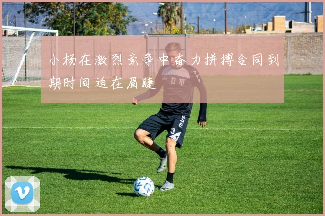 小杨在激烈竞争中奋力拼搏合同到期时间迫在眉睫